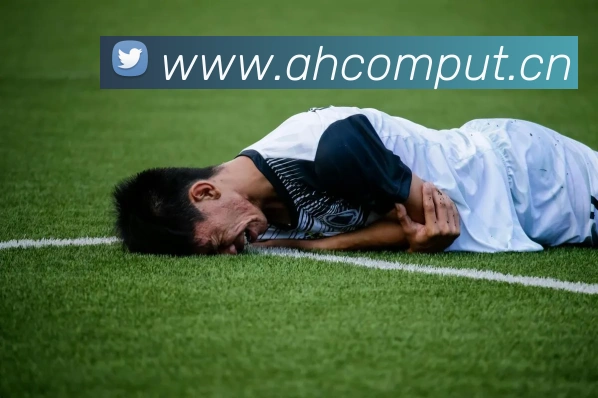 华体app官方登录入口平台生态图