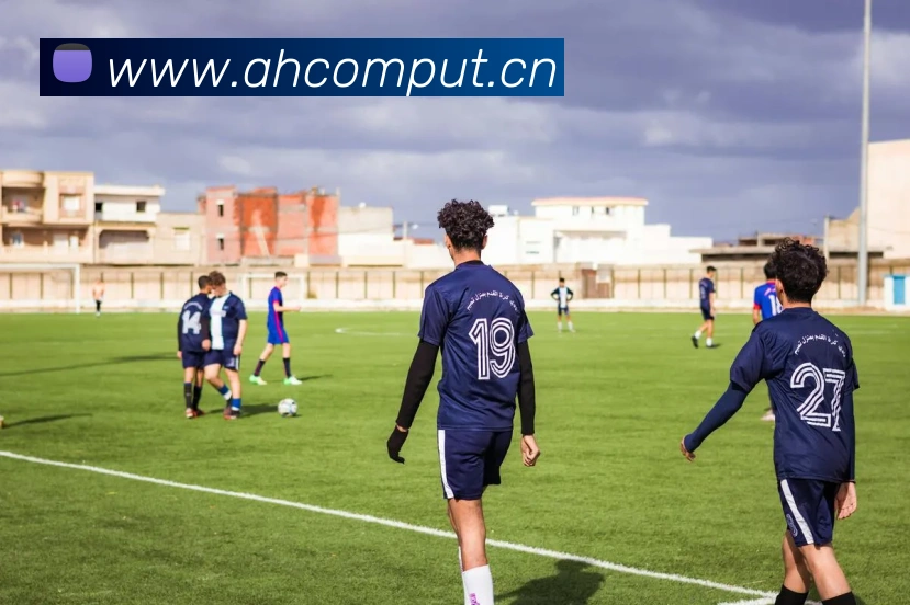 华体app官方登录入口APP 封面图